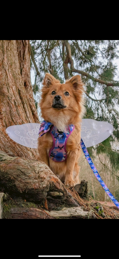 Mythical Creatures of the Phoenix Skies Explorer Pawz Harness