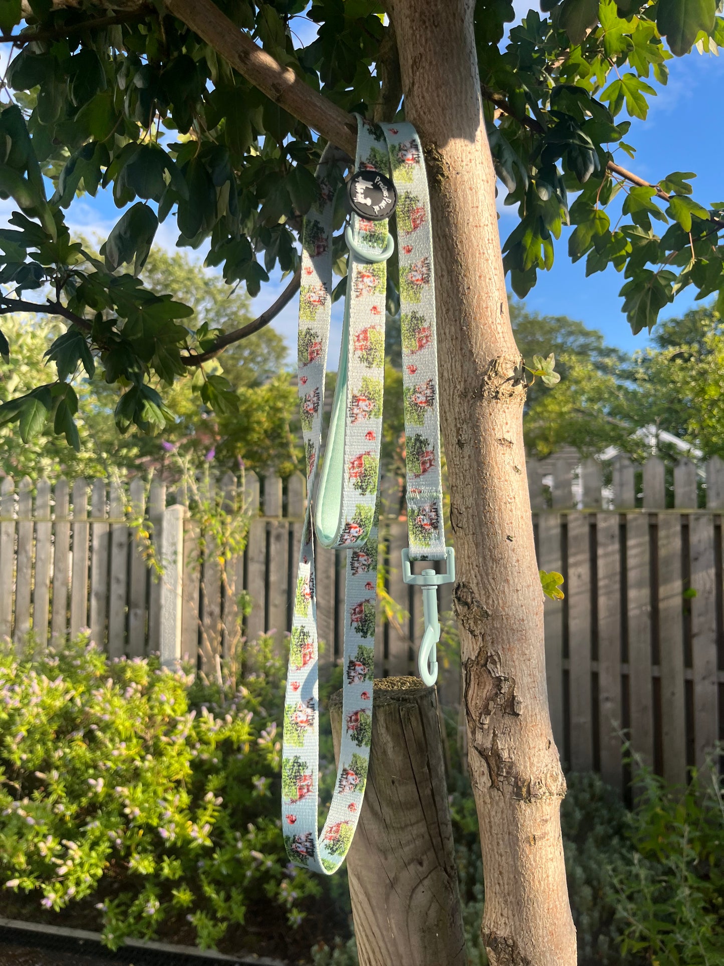 Paws of the forest Lead