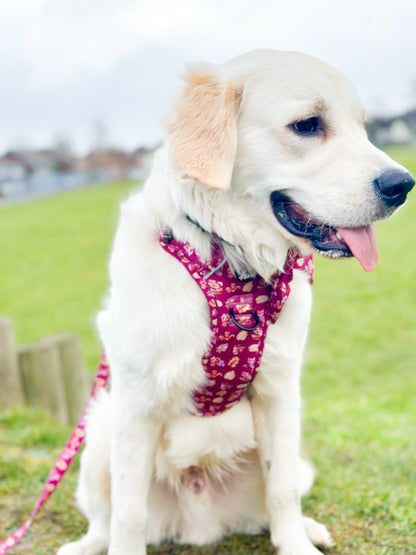 Mystical Fox Meadows Explorer Pawz Harness