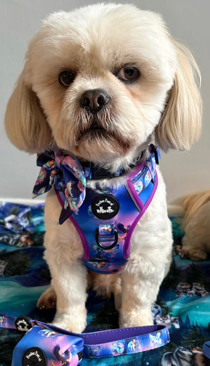 Mythical Creatures of the Phoenix Skies Explorer Pawz Harness
