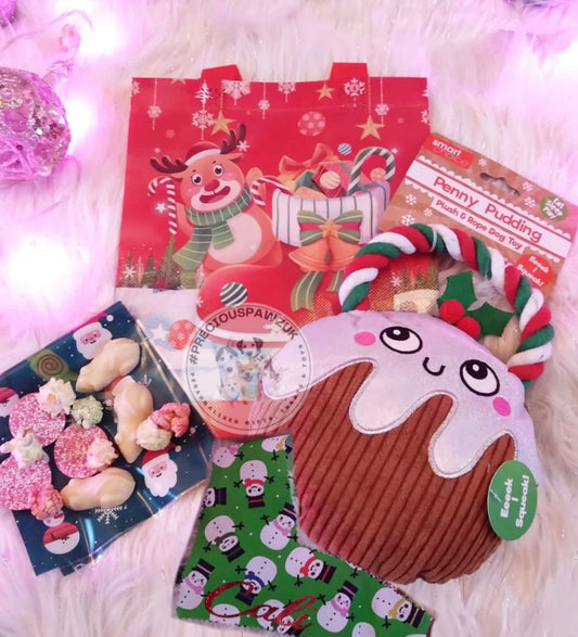 Christmas treat and toy bag