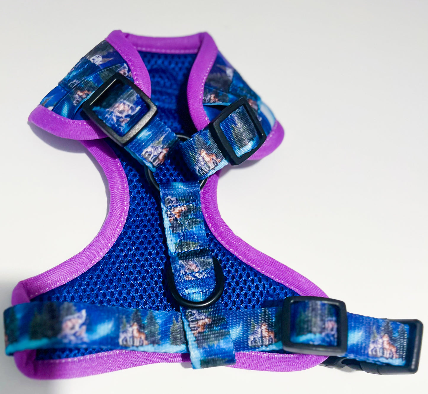 Luna's search for Aurora adjustable harness