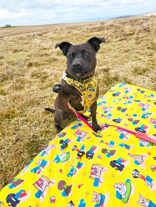 Paws Ashore Travel mat /Picnic mat