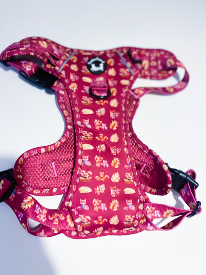 Mystical Fox Meadows Explorer Pawz Harness