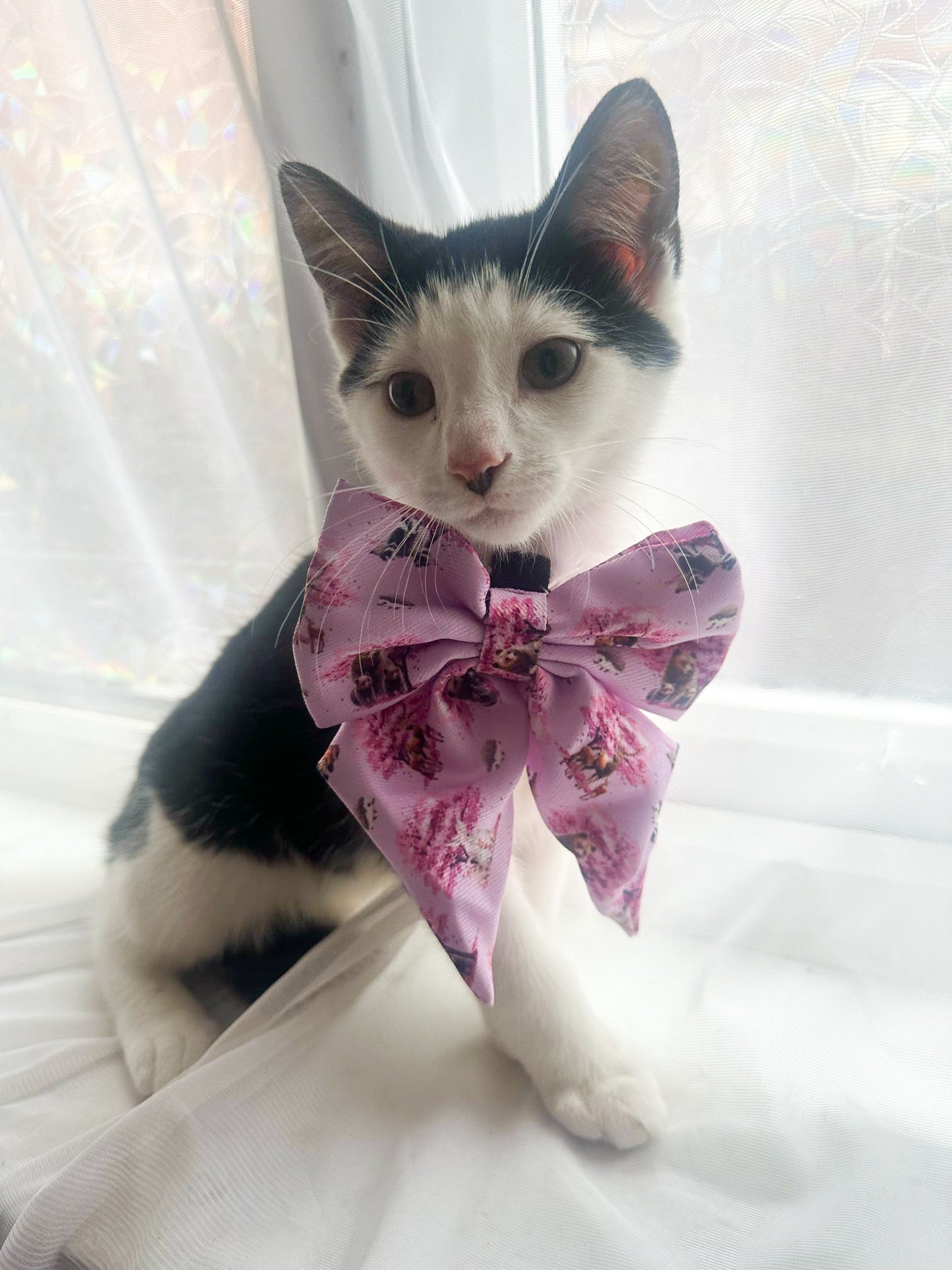 Fleur de Belle Sailor Bow