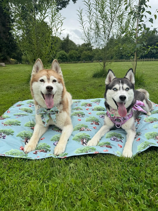 Paws of the Forest travel mat /picnic mat