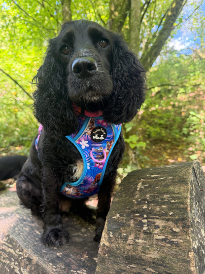 Tiger’s Explorer Pawz Harness