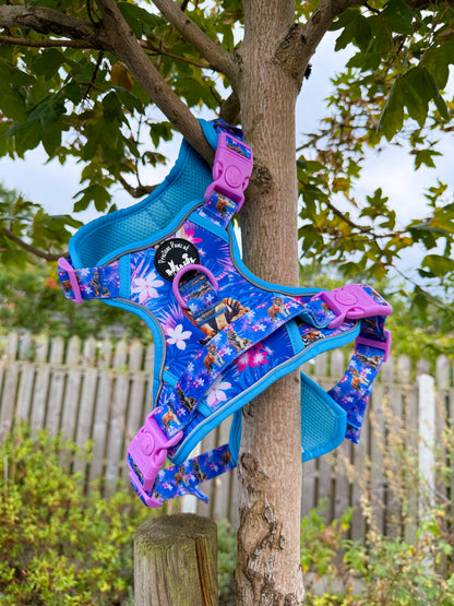 Tiger’s Explorer Pawz Harness
