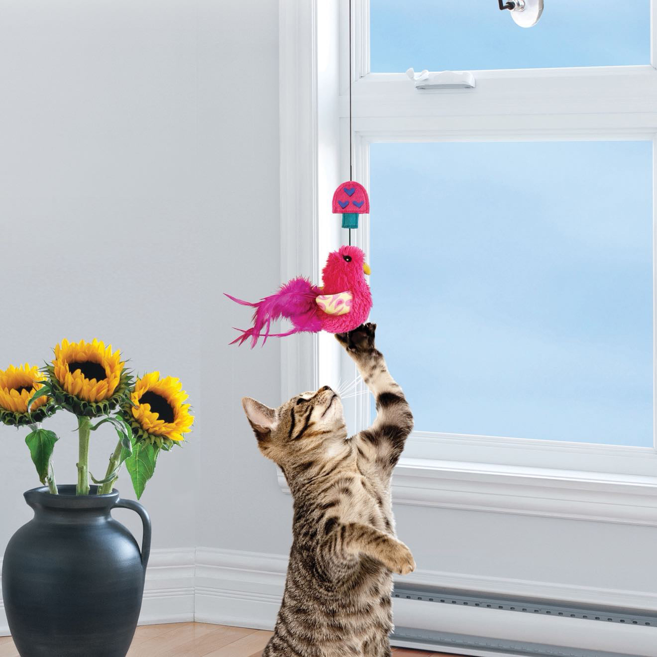 KONG window teaser connects cat toy