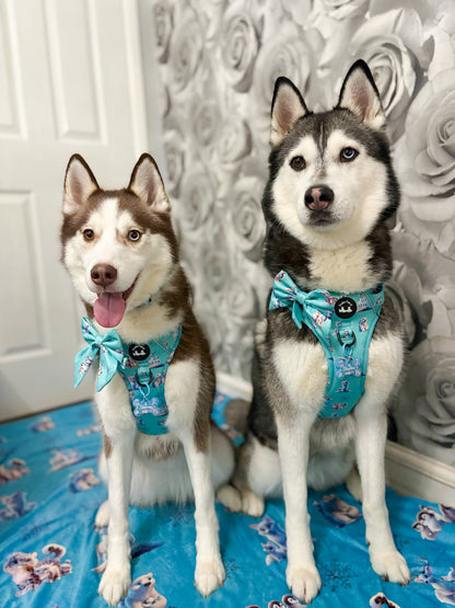 Glacier Glimmer Explorer Pawz Harness