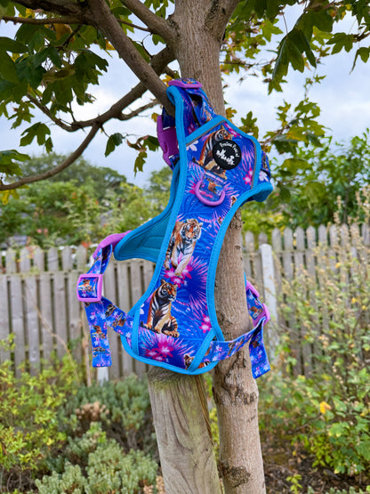 Tiger’s Explorer Pawz Harness