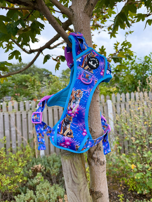 Tiger’s Explorer Pawz Harness