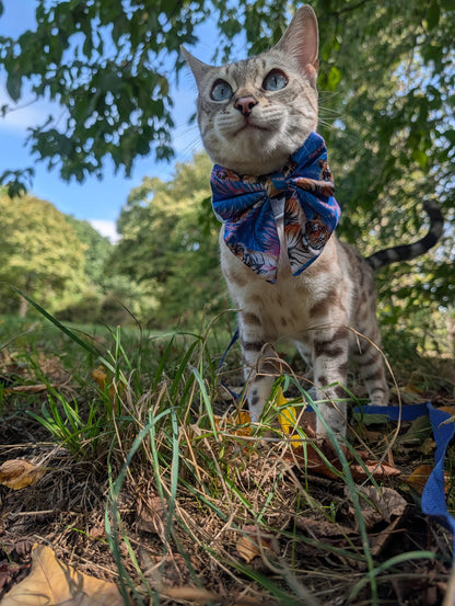 Tiger’s Sailor Bow