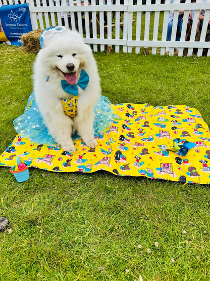 Paws Ashore Travel Mat/Picnic Mat