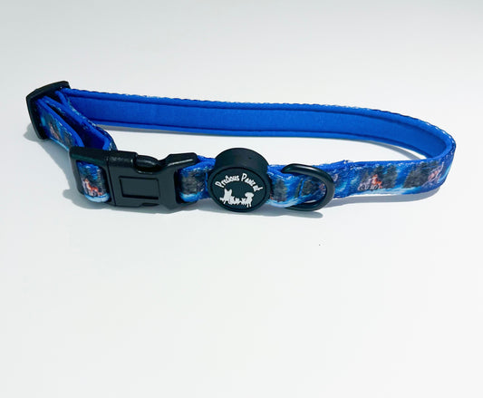 Luna's search for Aurora Collar