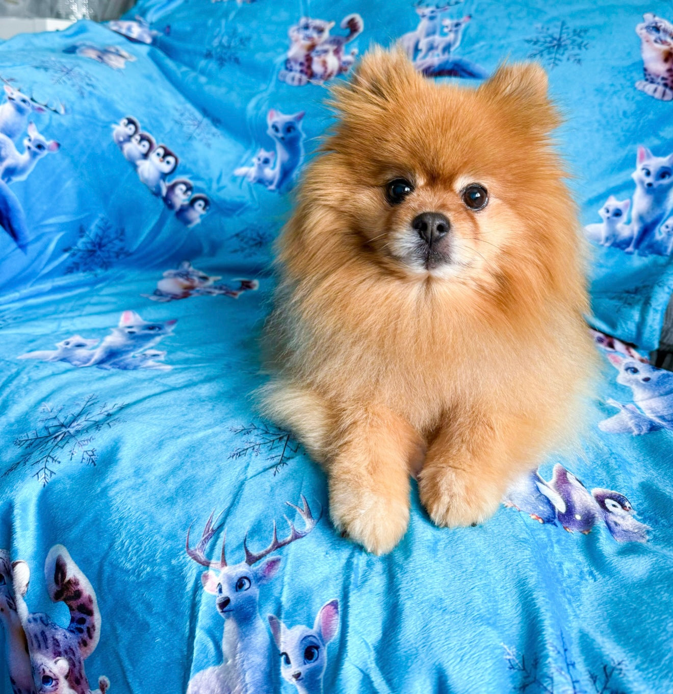 Glacier Glimmer Snuggle Blanket