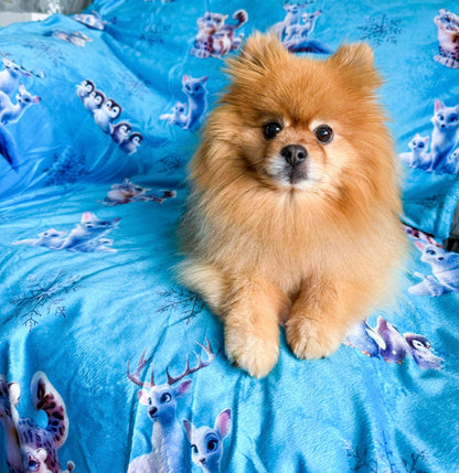 Glacier Glimmer Snuggle Blanket