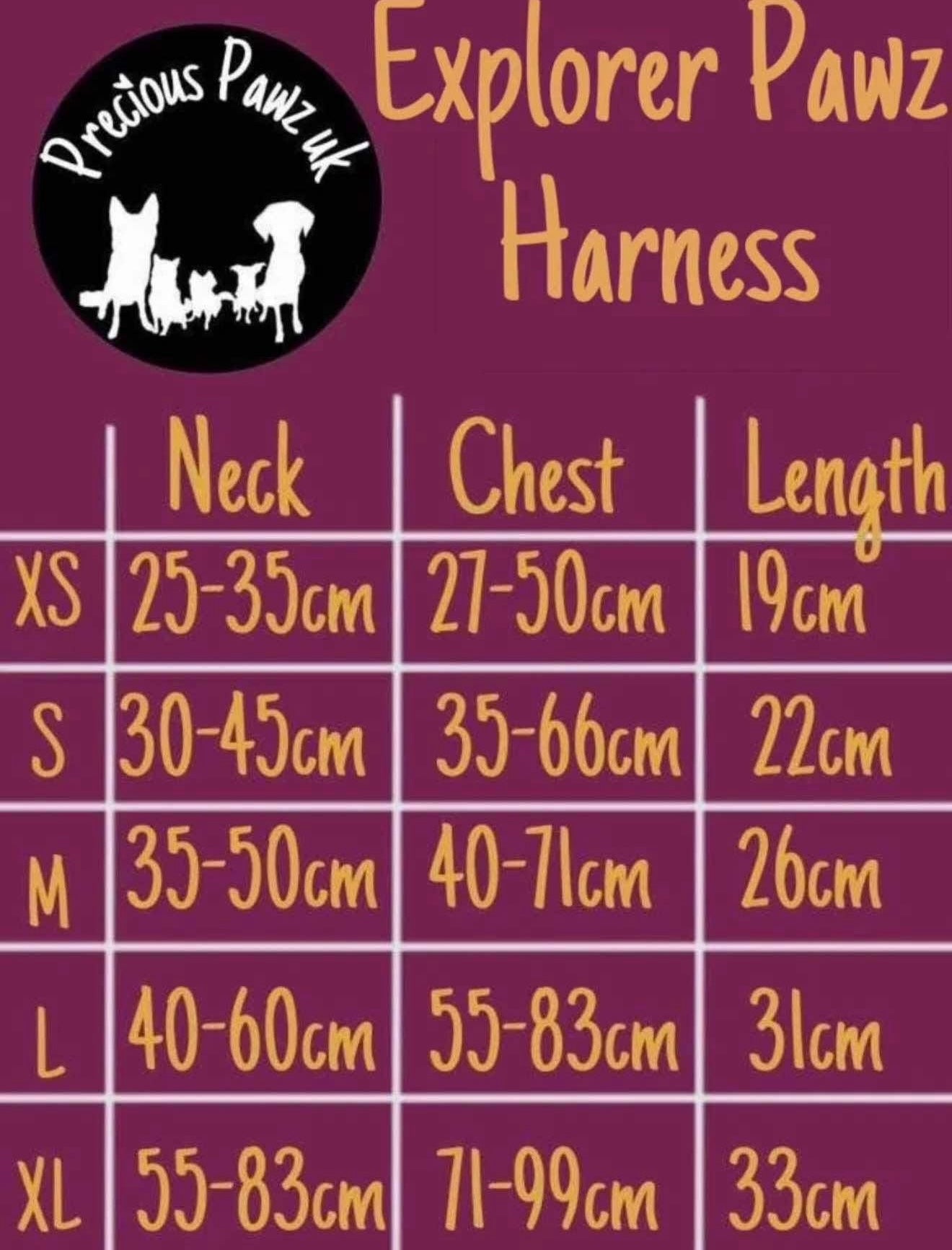 Chans' wildest dreams Explorer pawz harness