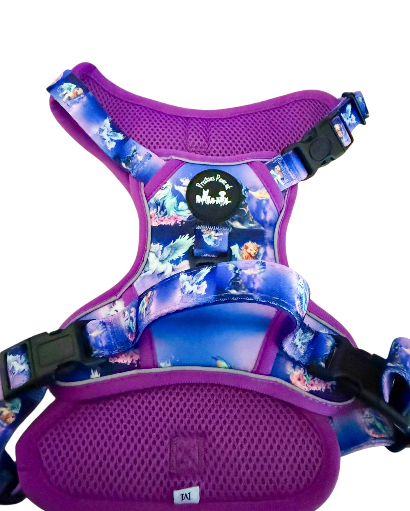 Mythical Creatures of the Phoenix Skies Explorer Pawz Harness