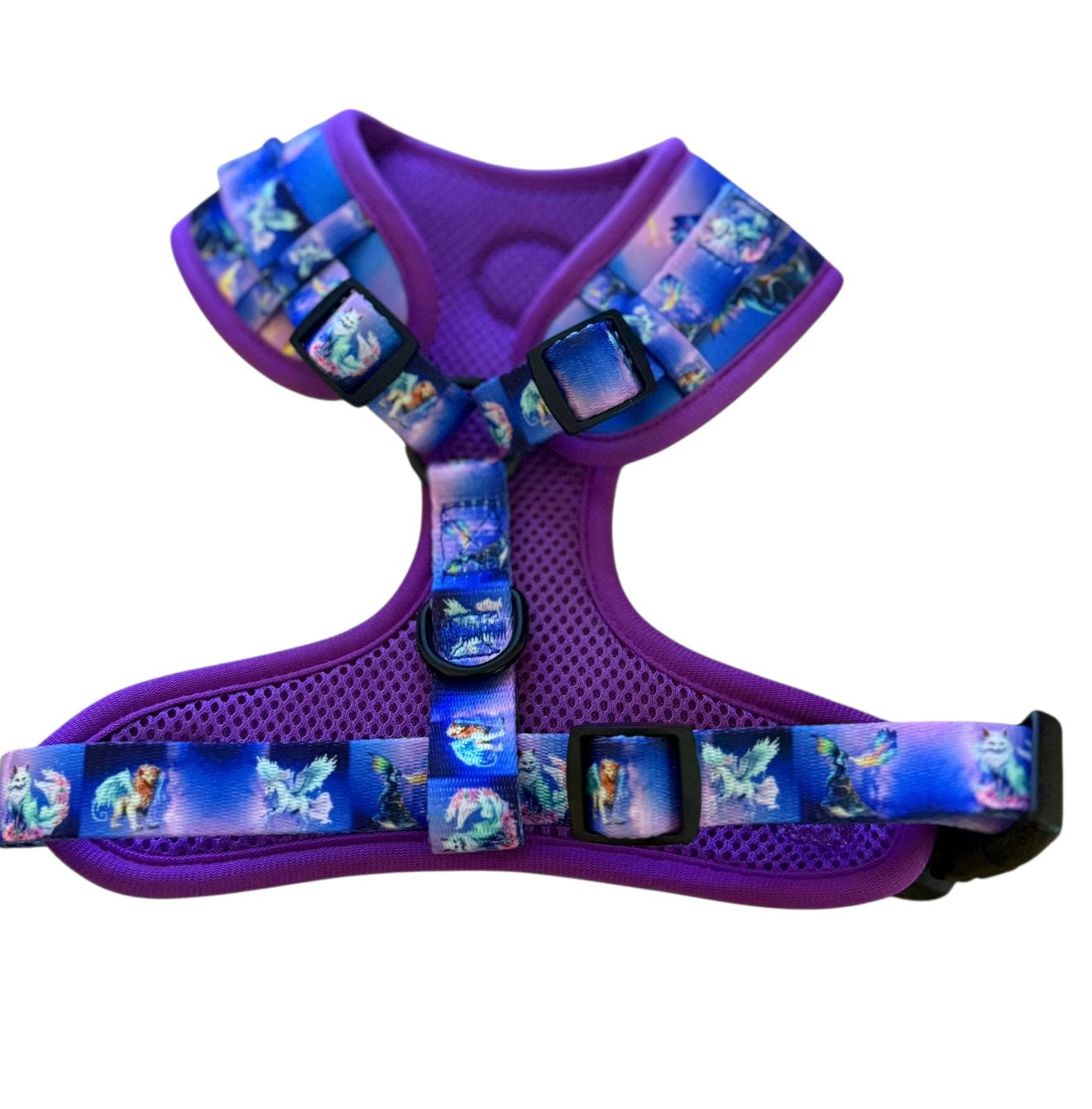 Mythical Creatures of the Phoenix Skies Adjustable Harness