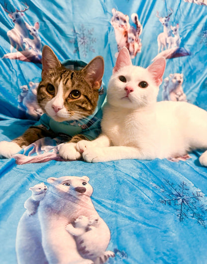 Glacier Glimmer Snuggle Blanket