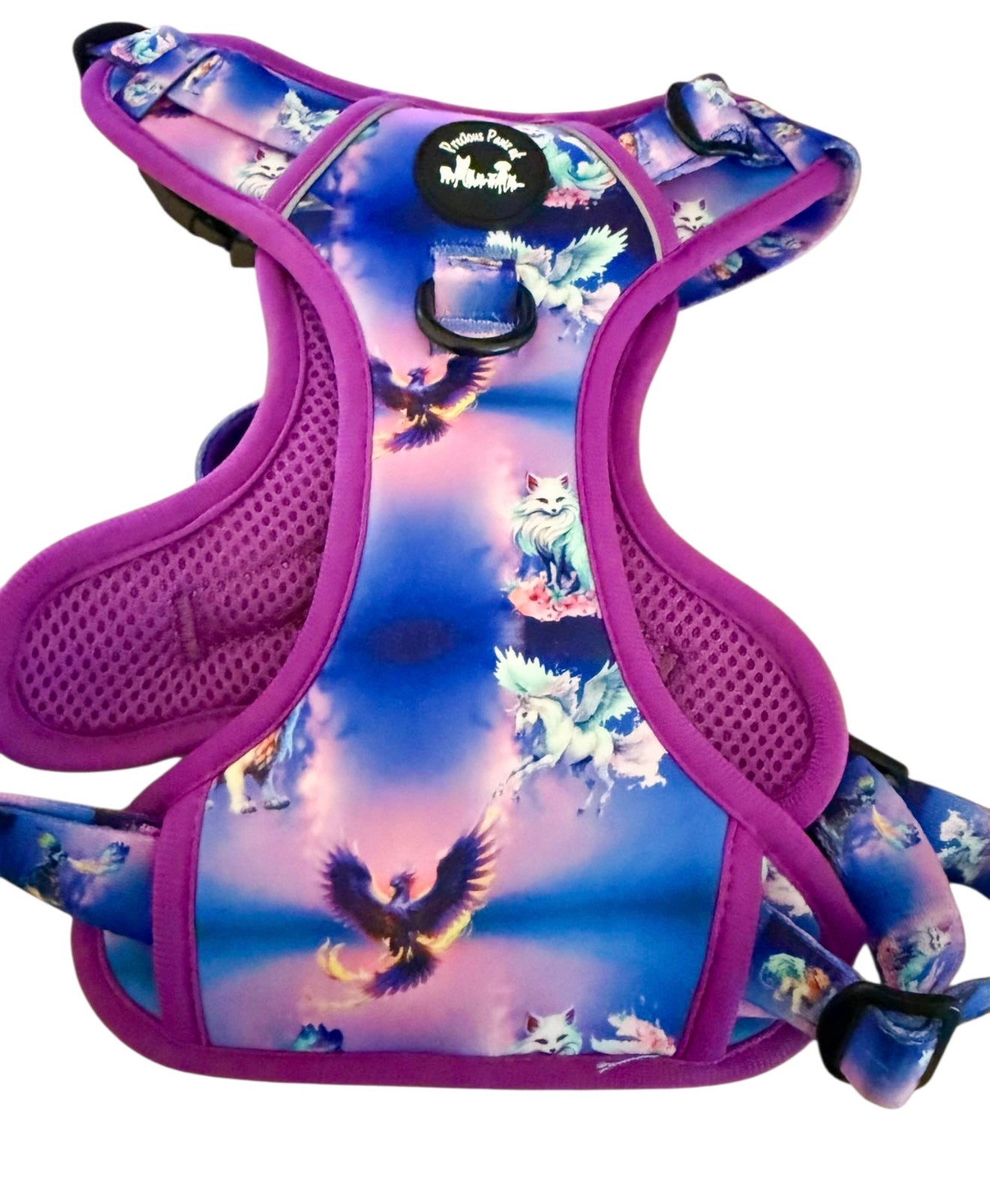 Mythical Creatures of the Phoenix Skies Explorer Pawz Harness