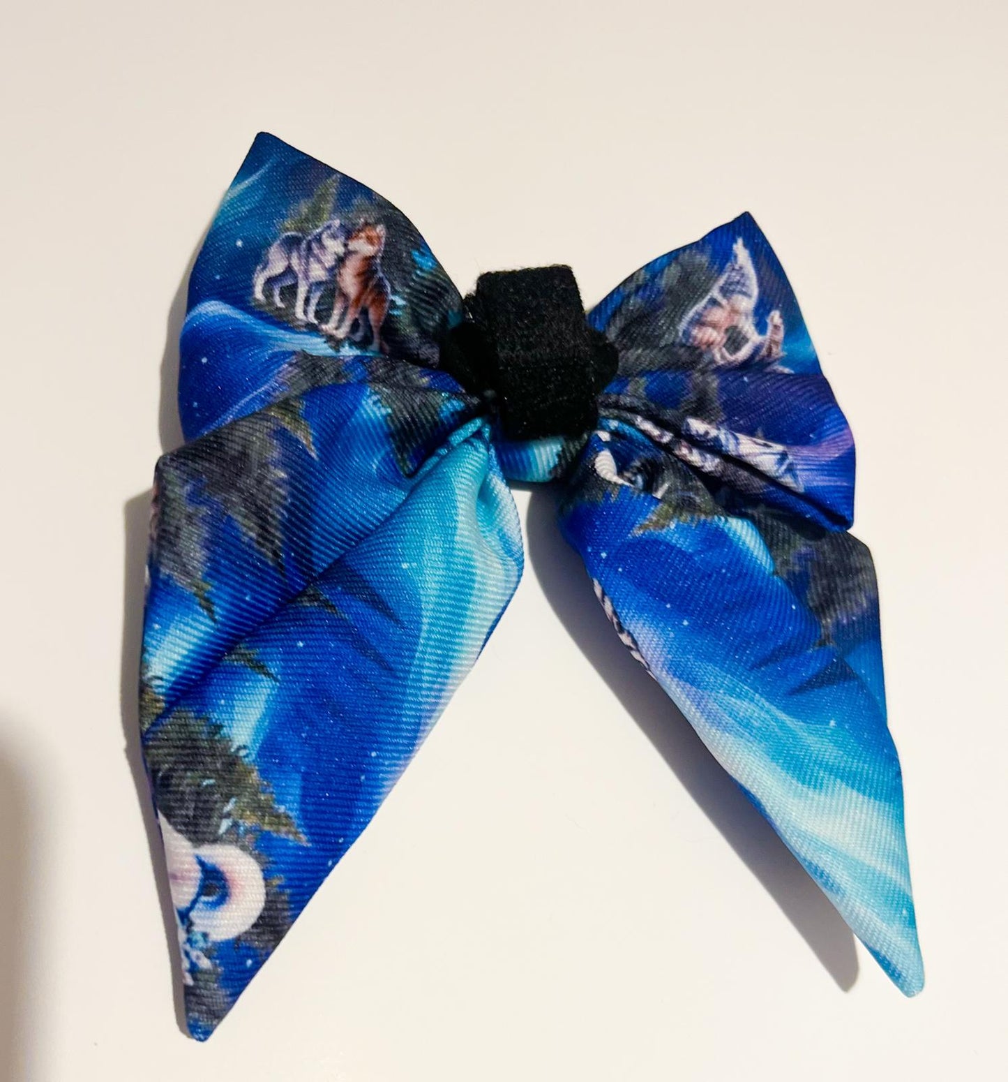 Luna's search for Aurora Sailor bow