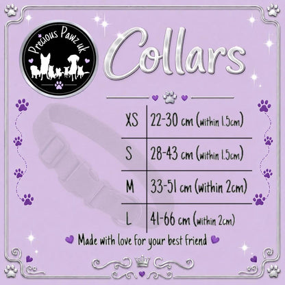 Chans' Wildest Dreams Collar
