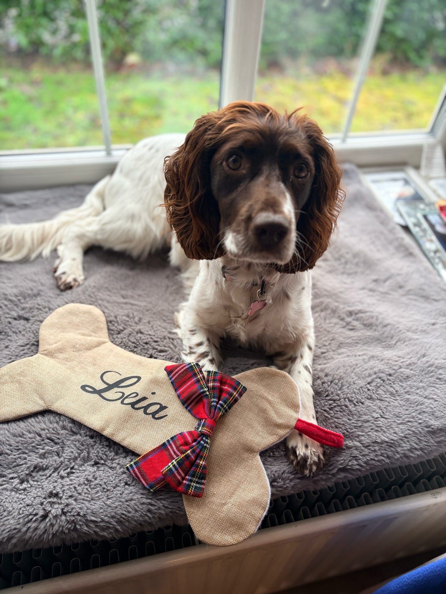 Dog bone Christmas stocking