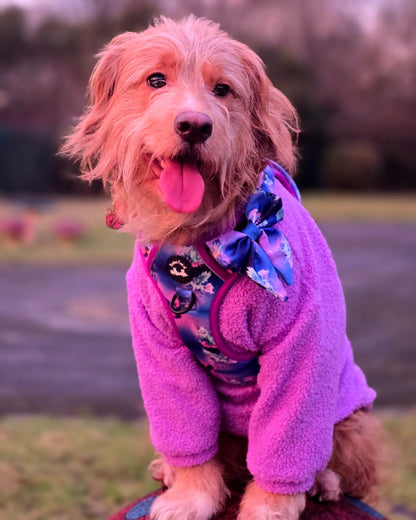 Mythical Creatures of the Phoenix Skies Explorer Pawz Harness