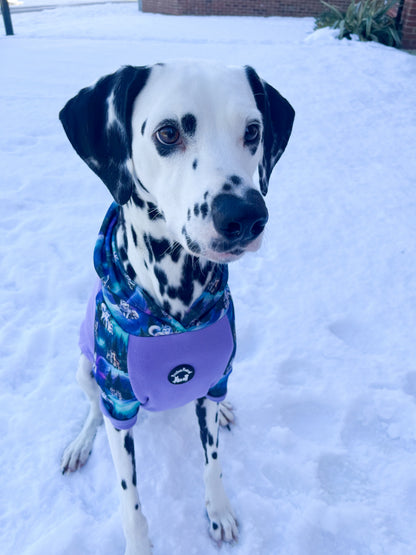 Luna’s Search for Aurora Hoodie