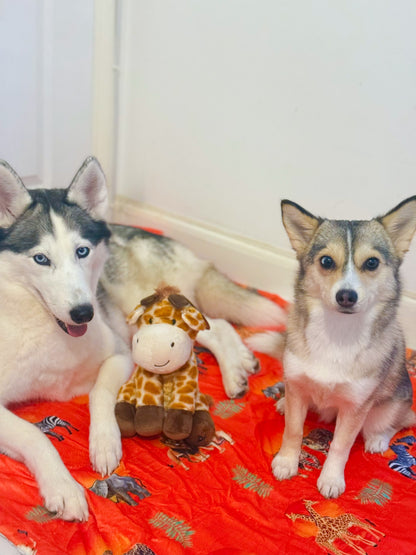 Chan’s Wildest Dreams Bundle, including Blanket and Giraffe Toy