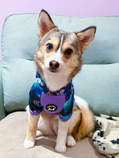 Luna’s Search for Aurora Hoodie