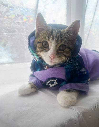 Luna’s Search for Aurora Hoodie