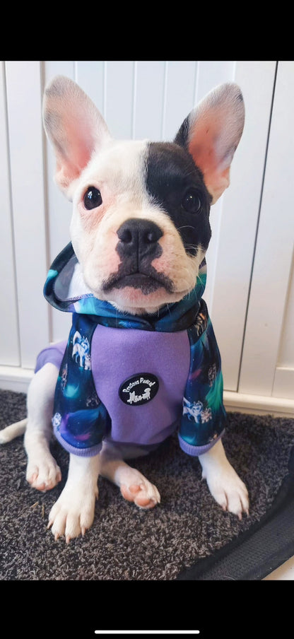 Luna’s Search for Aurora Hoodie