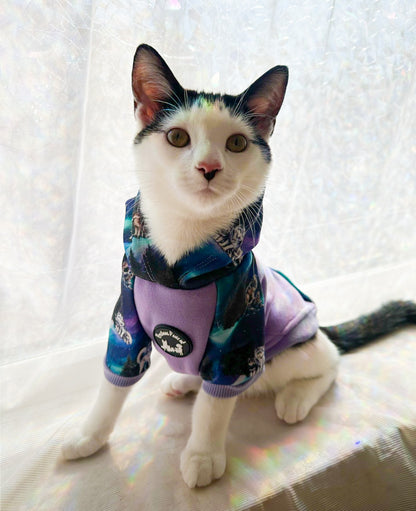 Luna’s Search for Aurora Hoodie