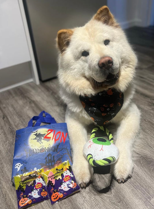 Halloween trick or treat bag