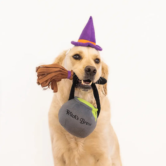 Zippy paws Halloween costume Witch