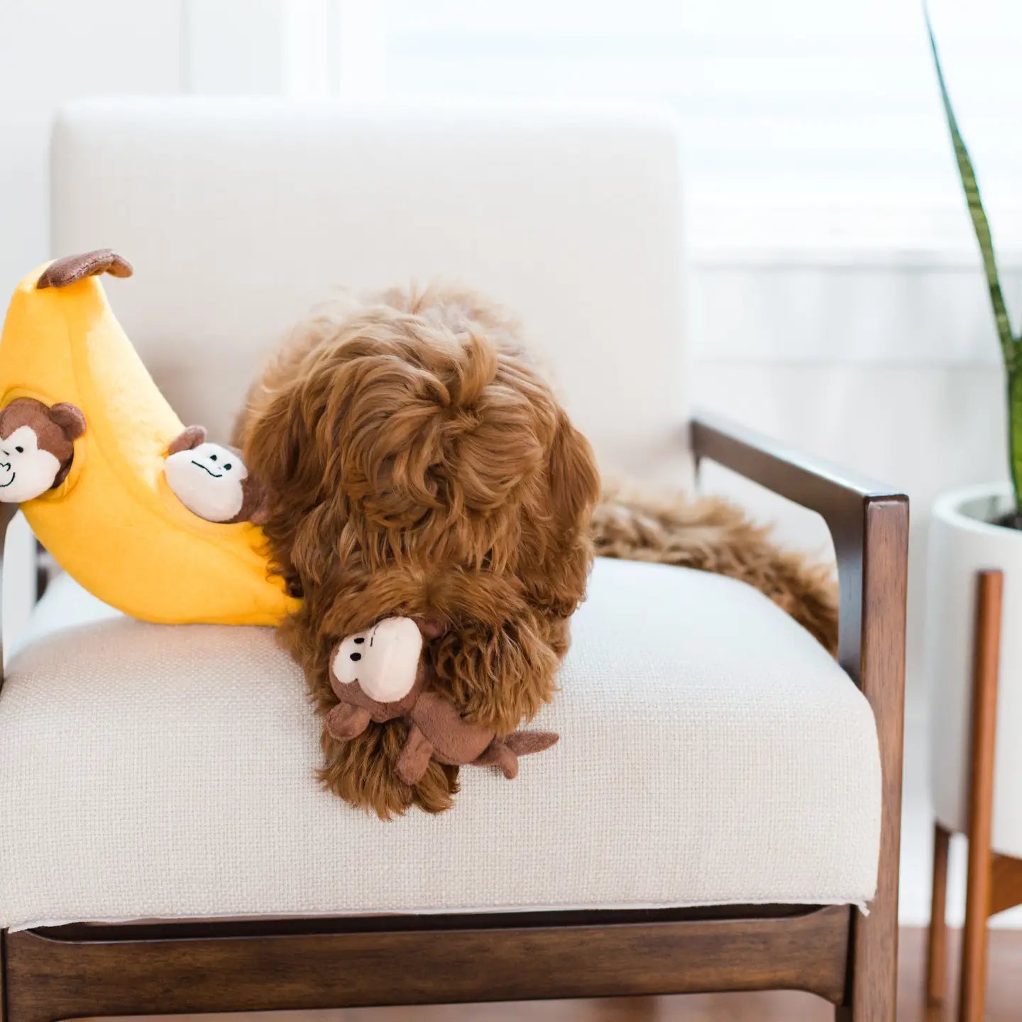 Zippy paws burrow monkeys in banana dog toy