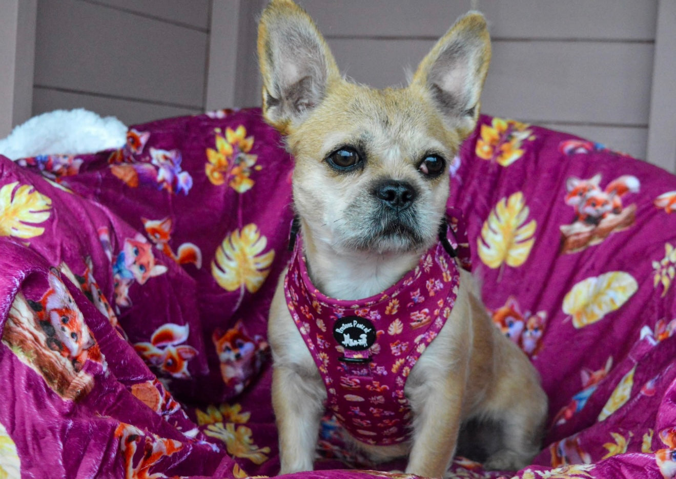Mystical Fox Meadows snuggle blanket