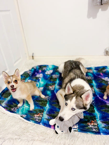 Luna’s Search for Aurora Snuggle Blanket