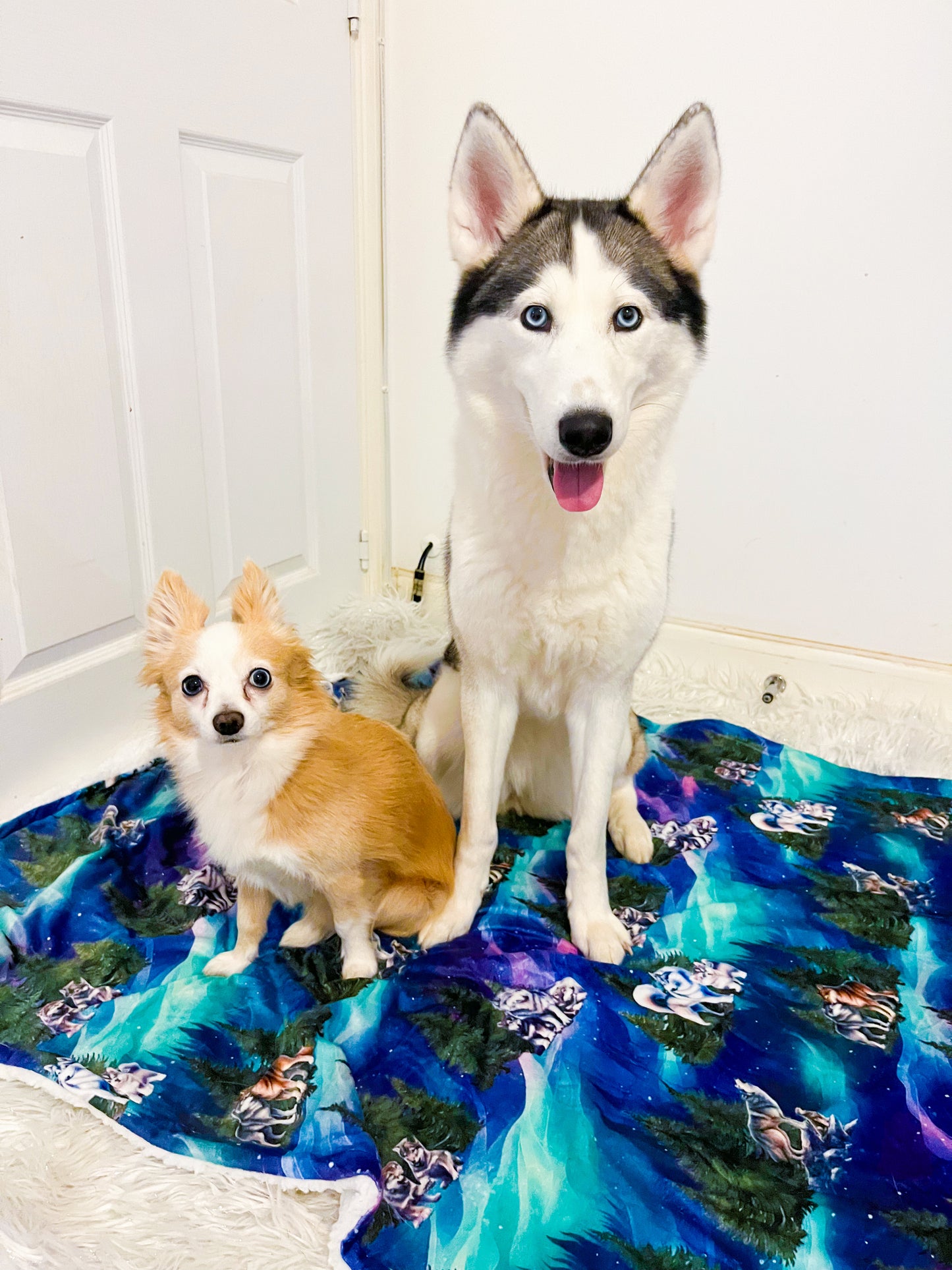 Luna’s search for Aurora snuggle blanket