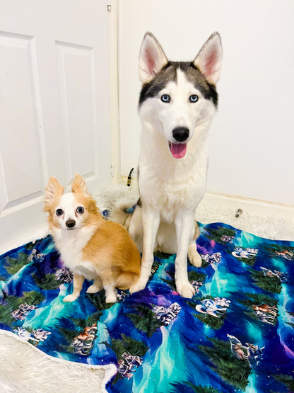 Luna’s Search for Aurora Snuggle Blanket
