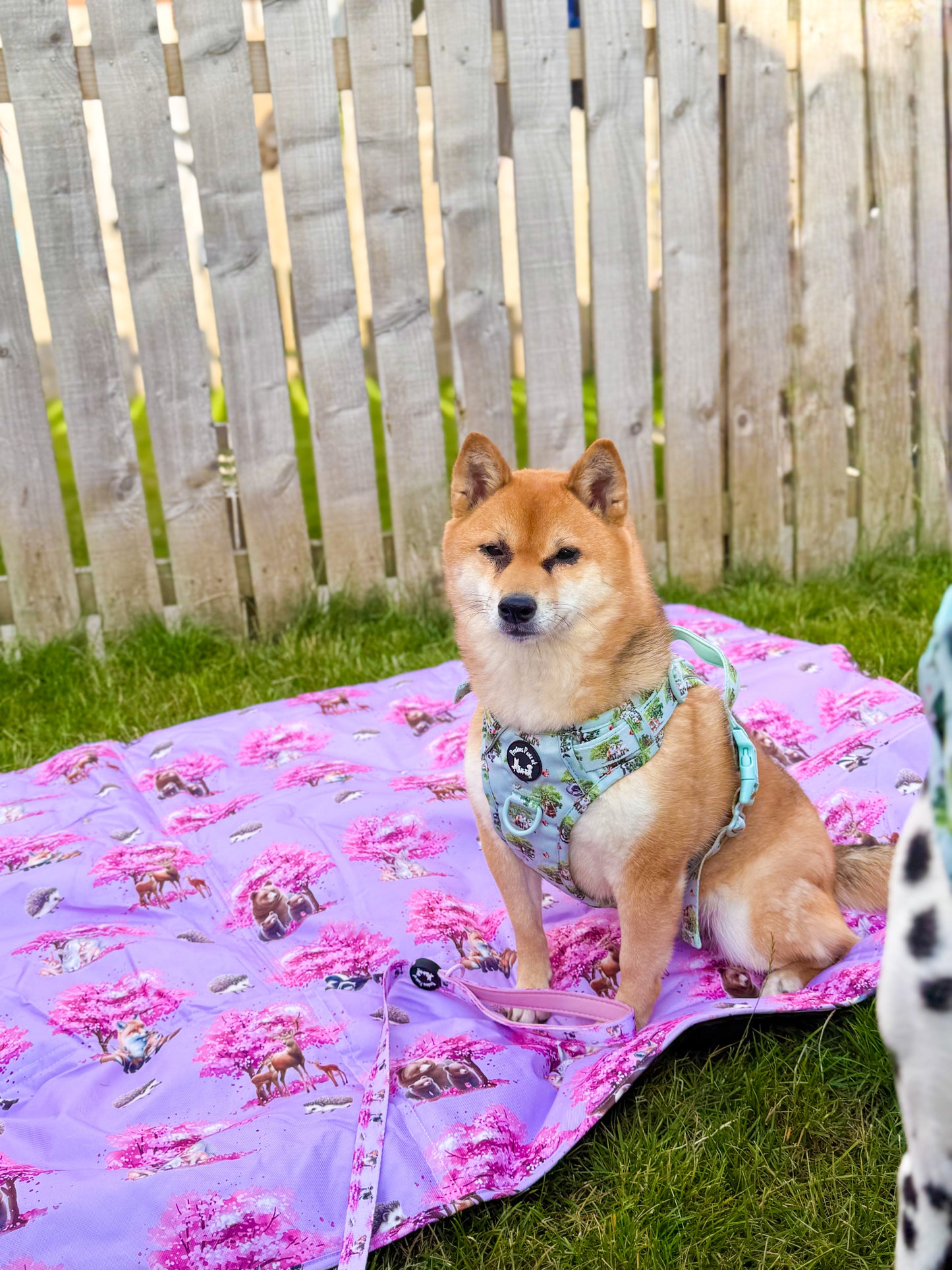 Fleur de Belle travel mat /picnic mat
