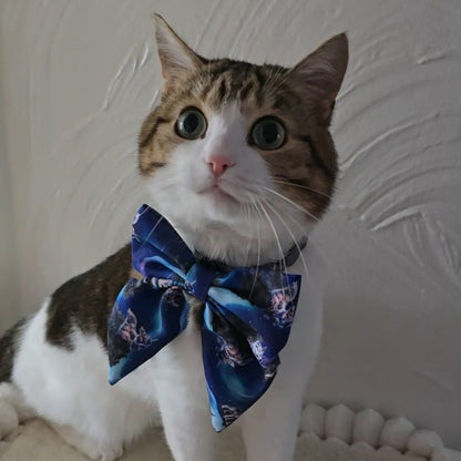 Luna's Search for Aurora Sailor Bow